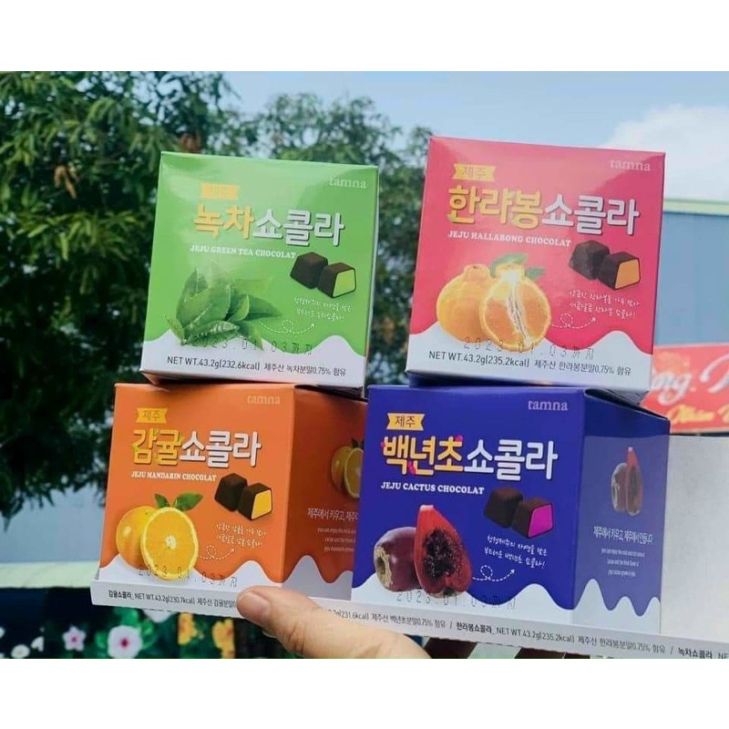 1 Pack hop socola  4 hop nổi tiếng của đảo jeju