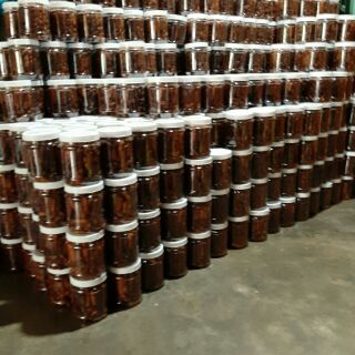 Me lào muối tôm 1kg