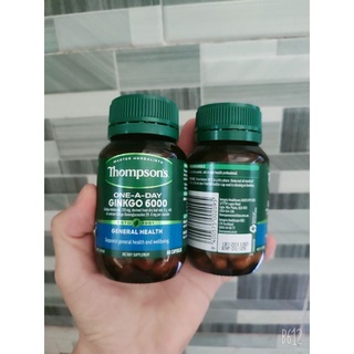 Bổ não Ginkgo Biloba 6000mg Thompson's 60 Viên