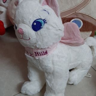 Gấu của lê uyên