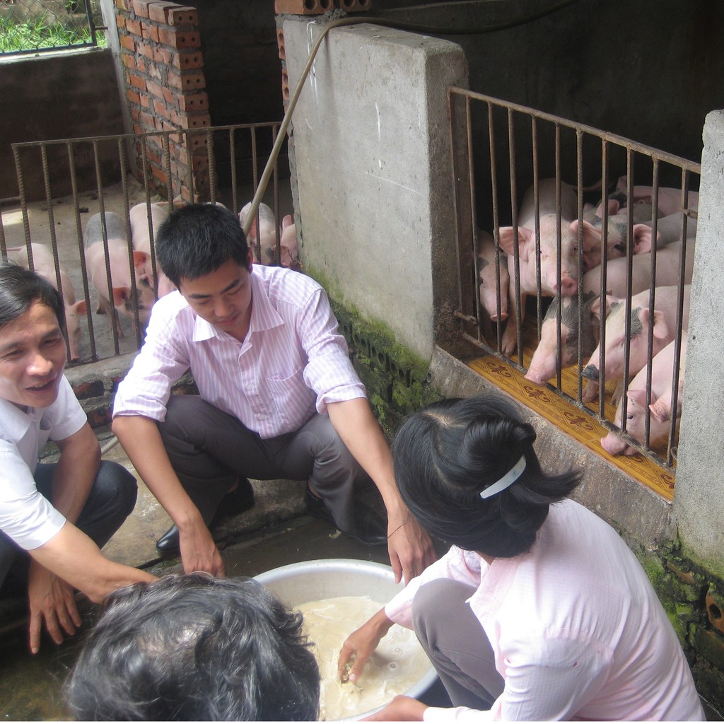 Chế phẩm sinh học cho Chăn Nuôi gia súc gia cầm - VƯỜN SINH THÁI