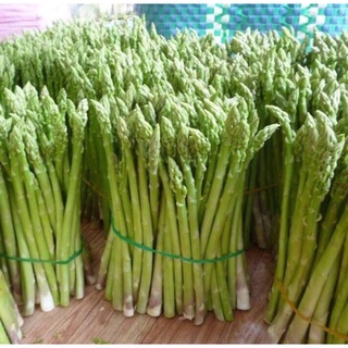 Gói hạt giống măng tây xanh
