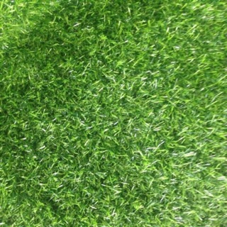 Thảm cỏ nhân tạo 2cm