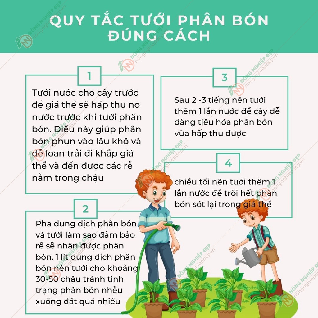 Phân NPK 30-10-10 Tám Ngọc 100g - Giúp Thân Cây Cao, Lá To Dài, Phân Nhánh Nhiều