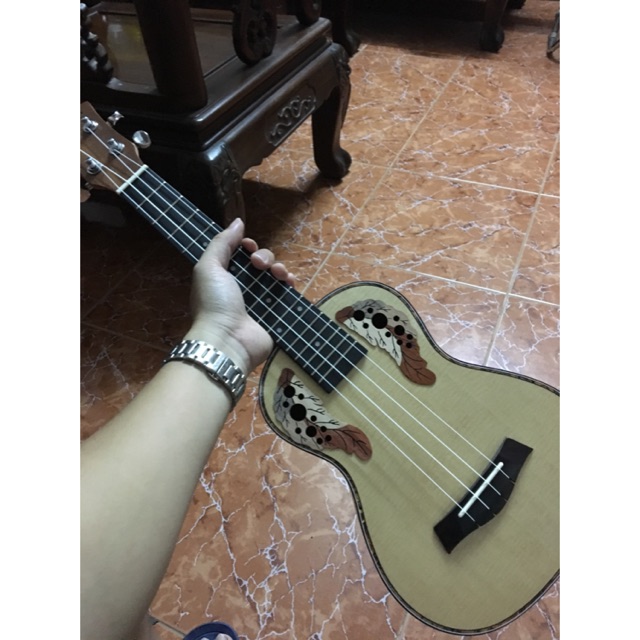 Ukulele concert hoa cao cấp