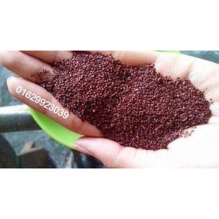 Hạt đình lịch 500gr