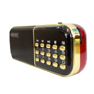 Máy nghe nhạc CA100-Chạy usb,thẻ nhớ