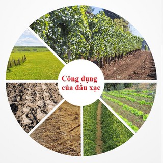 Đầu xạc cỏ cánh chéo dùng để xới đất, làm cỏ