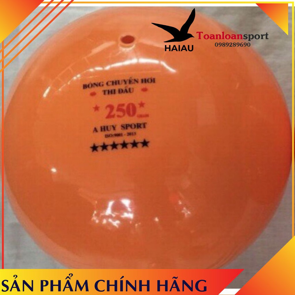 Bóng chuyền hơi A Huy ( tiêu chuẩn thi đấu )