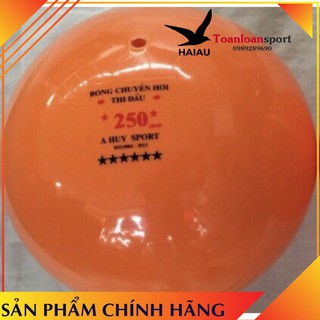 Bóng chuyền hơi A Huy ( tiêu chuẩn thi đấu )