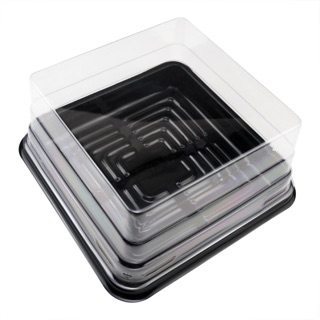 10 Hộp nhựa đựng bánh trung thu 200g ME12-12 (XY12-12)