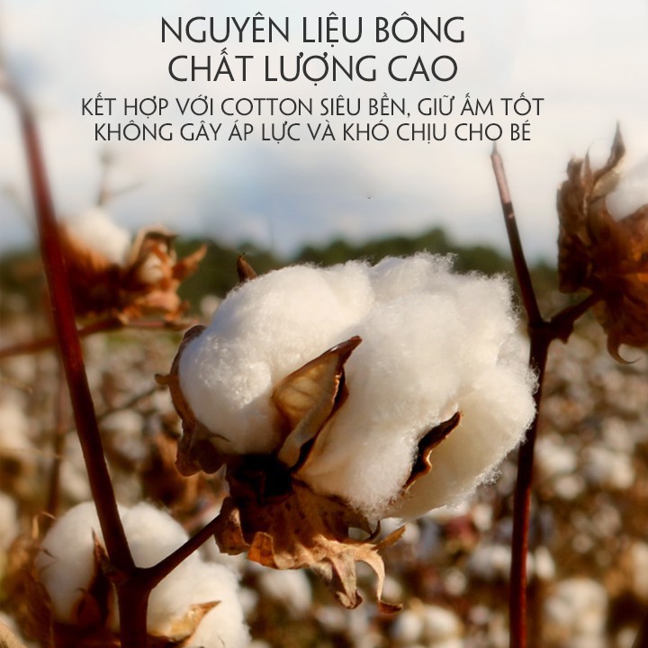 SET QUÂY VƯƠNG MIỆN CAO CẤP DÀNH ĐƯỢC CHO CŨI CHILUX  KT : 120*65cm - PAULO SOTRE