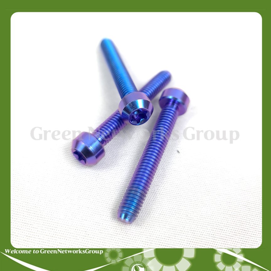 Ốc GR5 6 ly 40 Màu Xanh tím đầu dù bắt gù xe, lốc máy, cùm và nhiều vị trí thông dụng khác Greennetworks ( 1 Con )