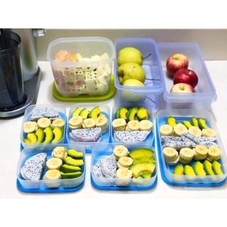 Hộp trữ đông dẹt Tupperware 650ml