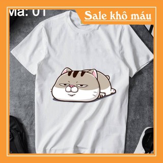 Áo Thun Unisex 🔥SIÊU RẺ🔥BTS Mèo Ami bụng bự siêu cute 😘