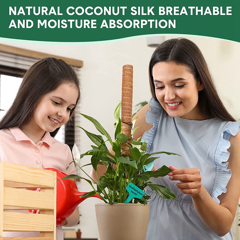 Bộ 10 Thanh Rêu Xoắn 16 inch Hỗ Trợ Nối Dài Kèm 30 Đầu Tabs &amp; 5 Dây Cột