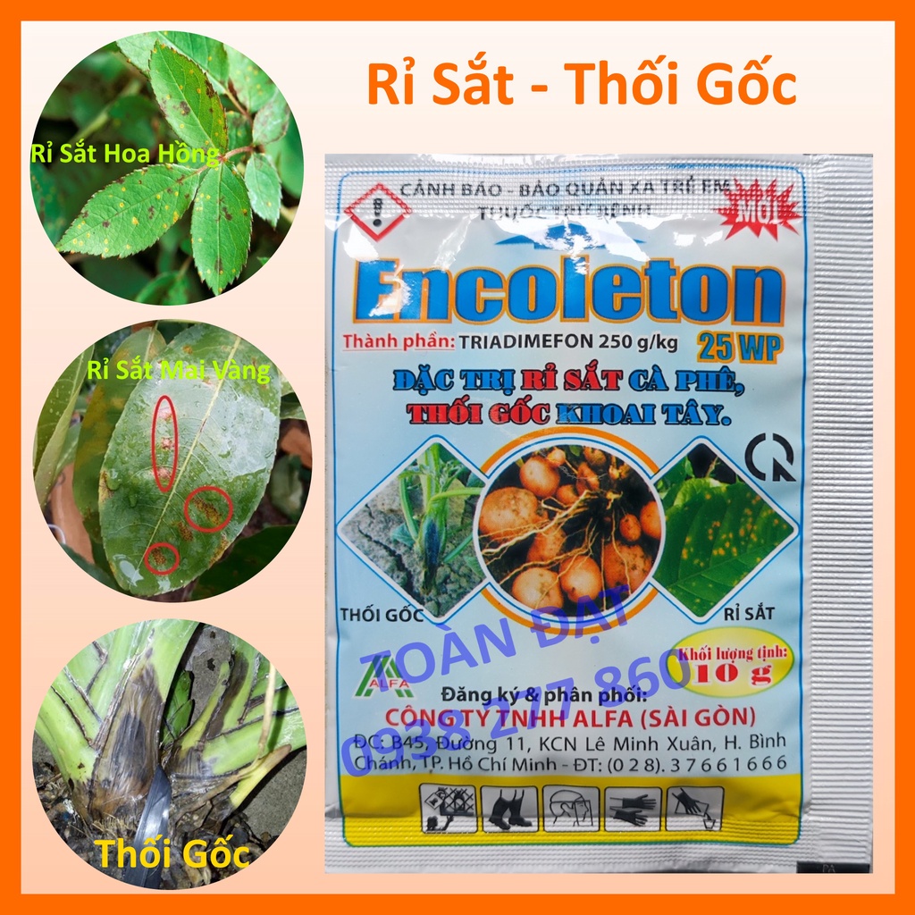 Thuốc trừ bệnh rỉ sắt hoa hồng mai vàng Encoleton 25WP 10g, trị thối gốc trên cây trồng