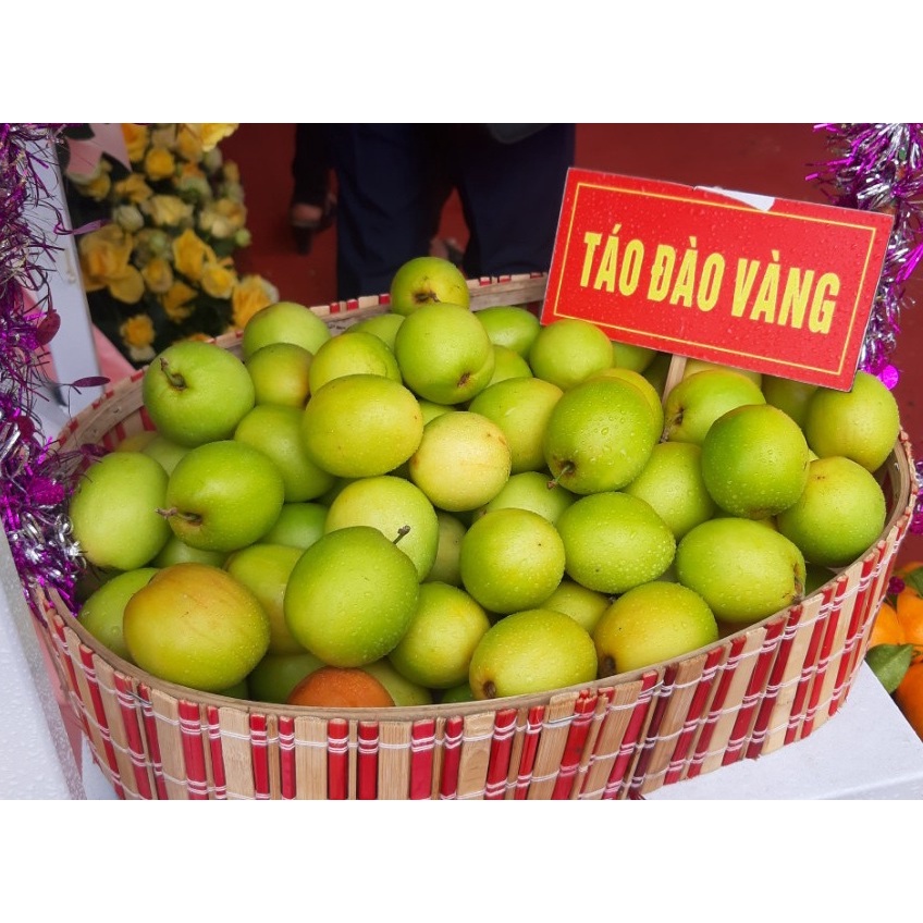 Cây táo đào vàng giống chín sớm cao 50-70cm (Ảnh thật số 2)