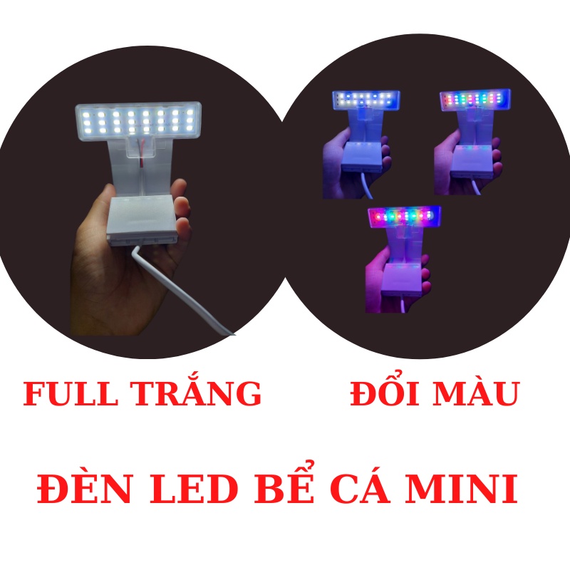 Đèn bể cá mini kẹp thành hồ