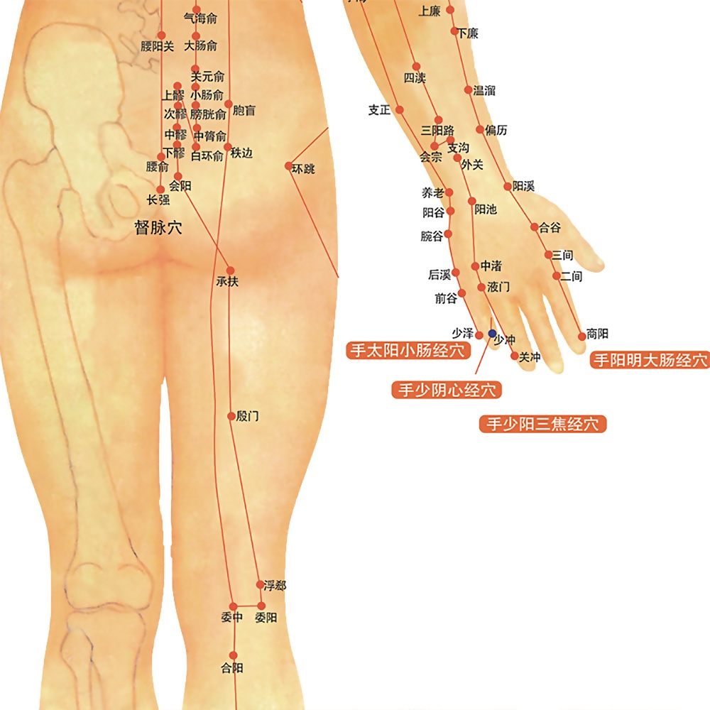 Sơ đồ Cofoe mô tả kinh tuyến và huyệt đạo cơ thể con người