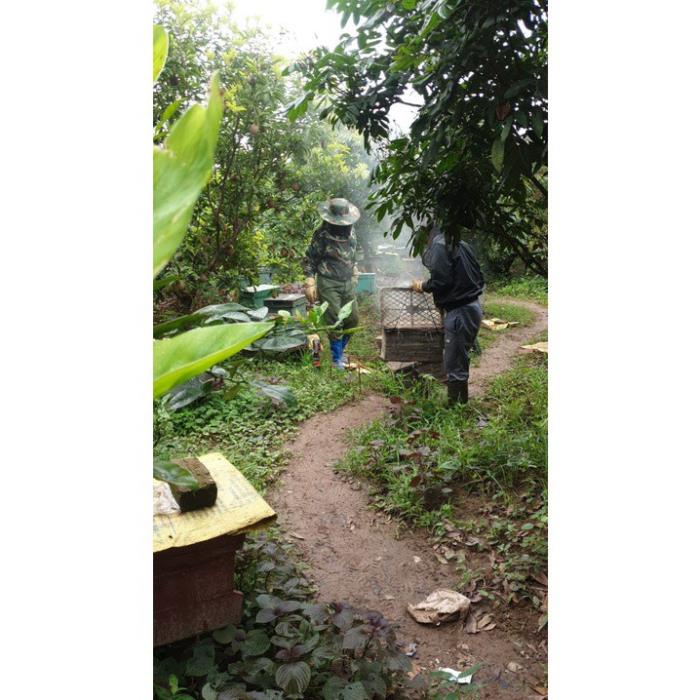 [Mã GROSALE giảm 10% đơn 150K] mật ong nhãn hưng yên 1,4kg dung tích 750mml mật ong nguyên chất đặc sản hưng yên