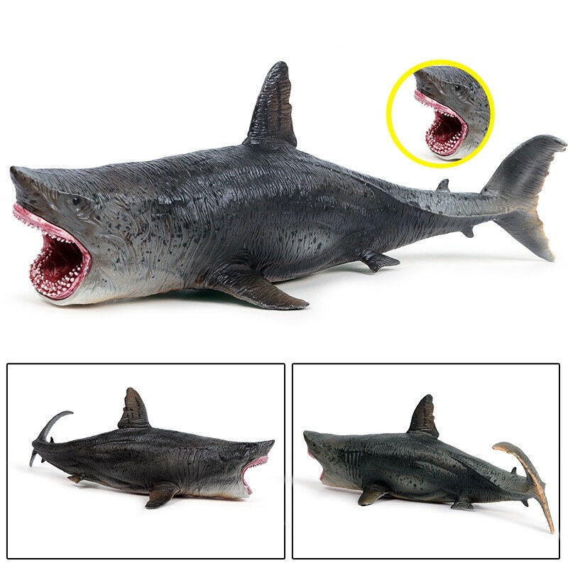 Đồ Chơi Mô Hình Cá Mập Megalodon Trang Trí