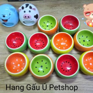 Chén ăn sứ kiểu trái cây cho Hamster