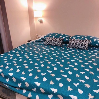 [Có sẵn] Drap Cotton House Thái mẫu mới