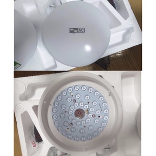 QUẠT TRẦN AC ACF02D525