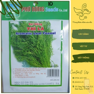 Hạt giống phú nông - thì là gói 5g - hạt giống - rau gia vị