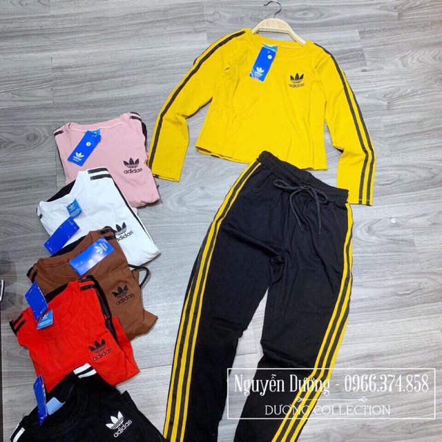 Đồ bộ nữ adidas