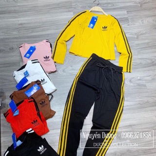 Đồ bộ nữ adidas