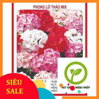 50 hạt giống phong lữ thảo mix HAT F1