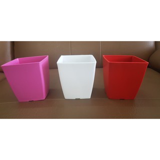 COMBO 5 CHẬU NHỰA CẮM HOA
