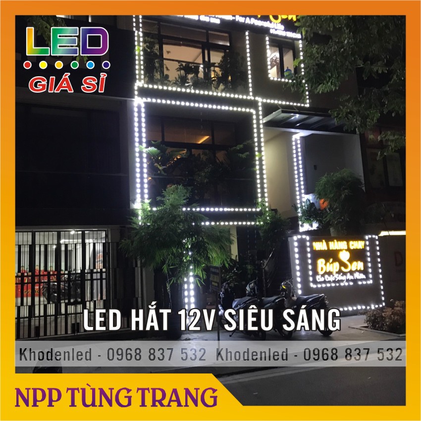 Led hắt 3 bóng mắt lồi điện 12V ( vỉ 20 bóng) loại siêu sáng | BigBuy360 - bigbuy360.vn