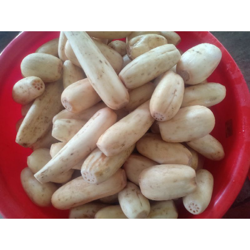 Tinh bột củ sen Việt Nam