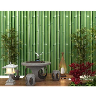 ( tặng kèm dụng cụ) combo 10m giấy dán tường tre 3d xanh