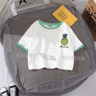 Áo thun croptop viền xanh quả dứa kT