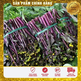 Hạt giống rau cải ngồng đỏ (5 Gr)