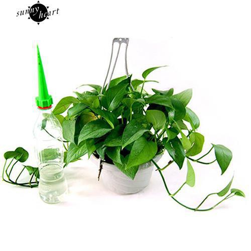 Bình tưới nước nhỏ giọt