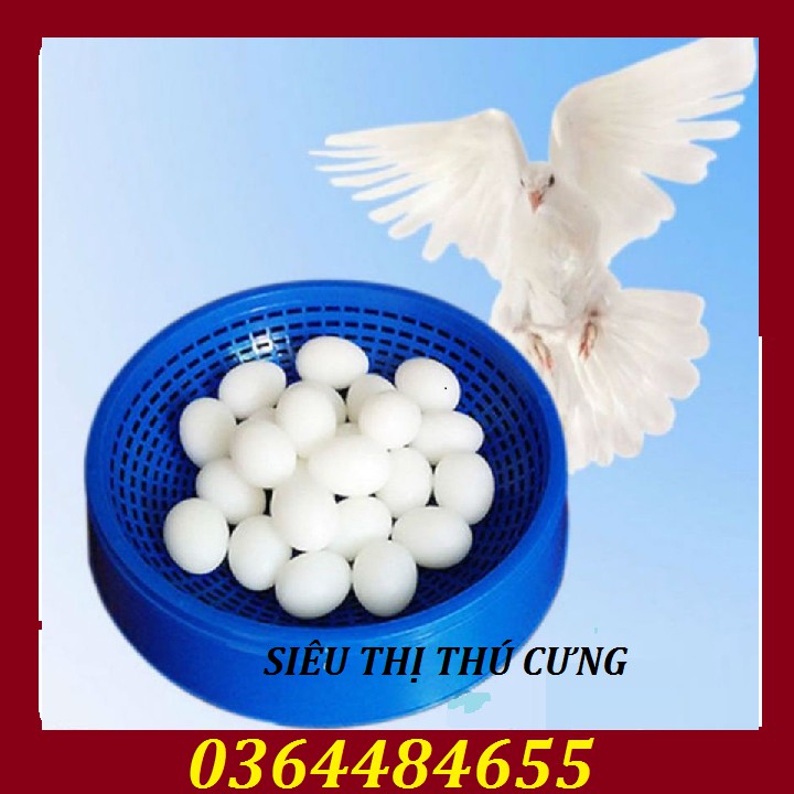 TRỨNG GIẢ CHO CHIM BỒ CÂU- [Combo 5 quả]- Trứng bồ câu giả