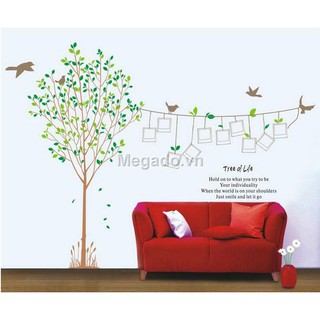 Decal khung ảnh A008