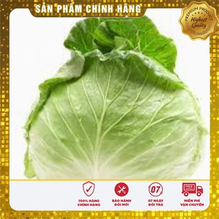 Hạt Giống Bắp Cải Trái Tim(50 hạt)