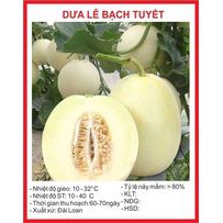 Hạt giống Dưa Lê Bạch Tuyết - 20 Hạt