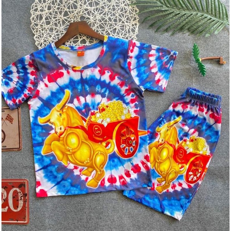 Bộ tay ngắn quần đùi thun 3d hàng shop cho bé size đại