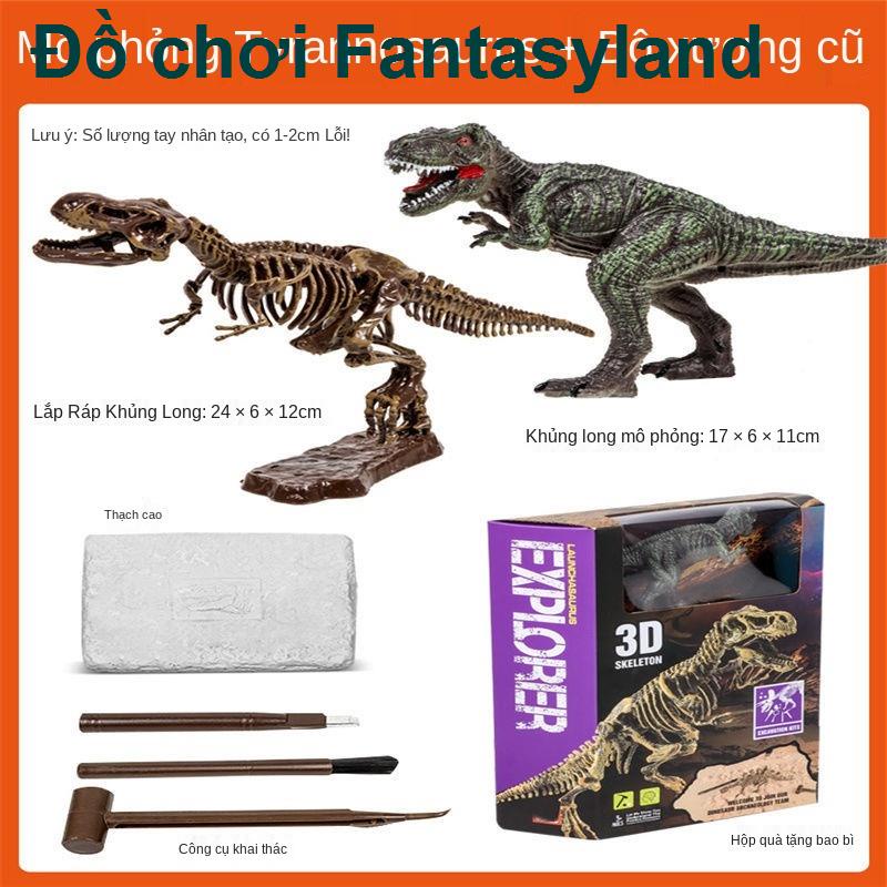 Hóa thạch khủng long trẻ em Mô hình bộ xương Tyrannosaurus rex Sản xuất thủ công DIY của Đồ chơi khai quật khảo cổ học c