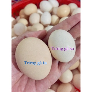 COMBO 10 TRỨNG GÀ TA và 10 TRỨNG GÀ SO