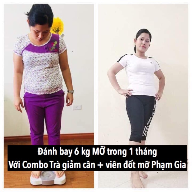 2 TRÀ GIẢM CÂN ĐÔNG Y PHẠM GIA (sỉ và lẻ) COMBO 2 hộp | BigBuy360 - bigbuy360.vn