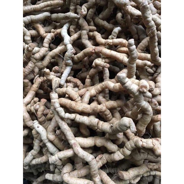 Ba kích tím Quảng Ninh 500g