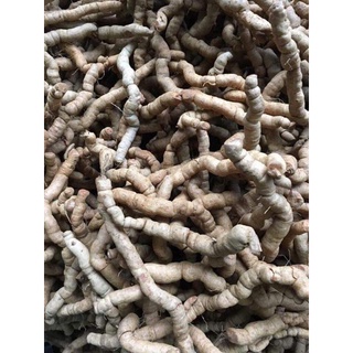Ba kích tím Quảng Ninh 500g